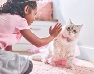 A young girl playing a kitten