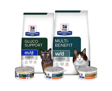 מזון לחתולים עם מרשם דיאט