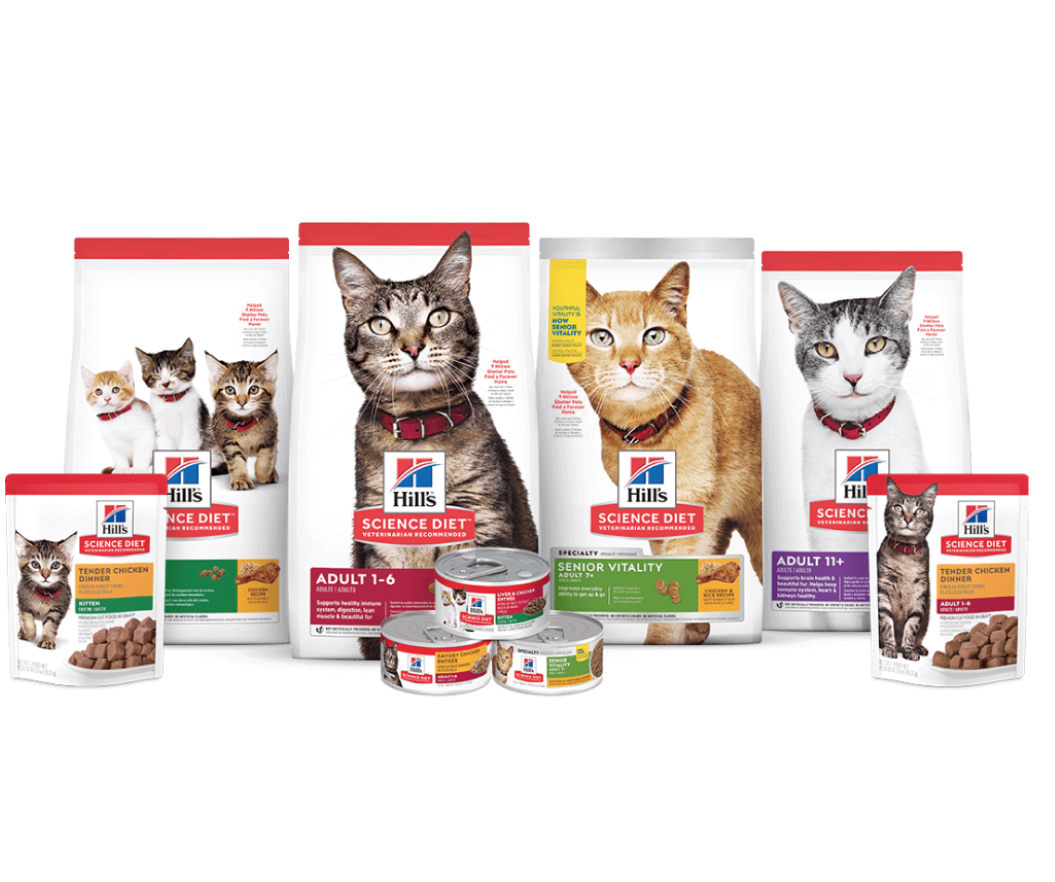 Selection of Science plan cat diets in bags, cans and pouches