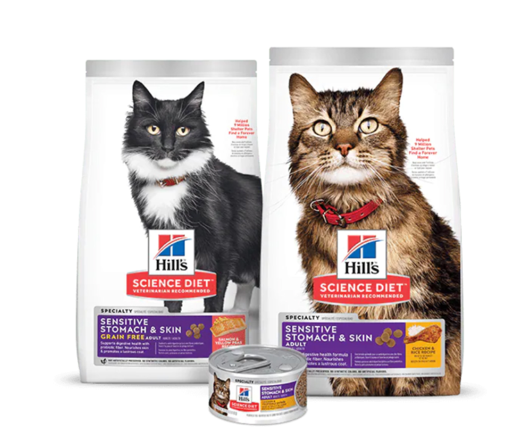 Science Plan Digestive health Cat Foods