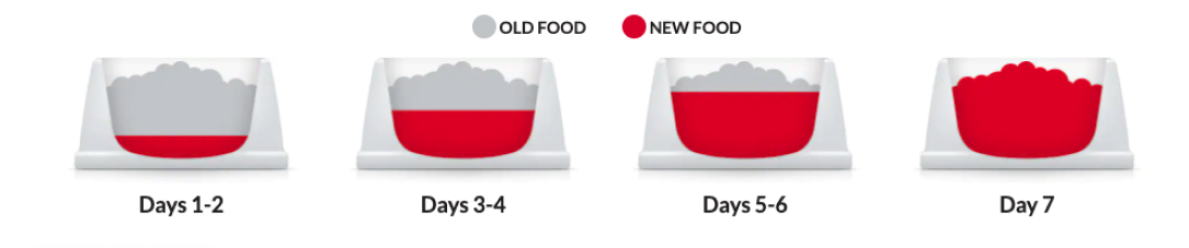 טקסט חלופי: מעבר האוכל של היל