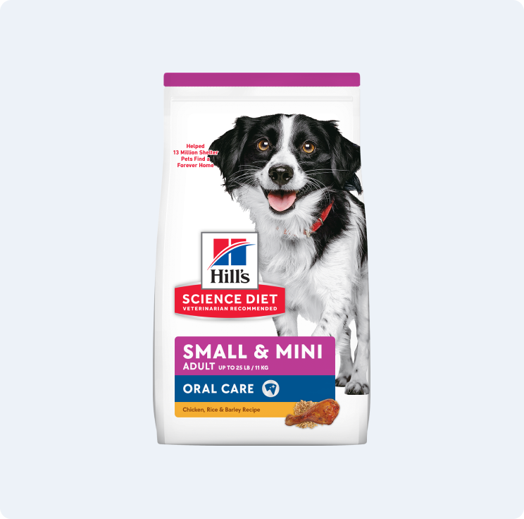 A bag of Hill's Science Plan Small & Mini dry dog food